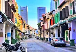 Amoy Street (D1), Shop House #594018941